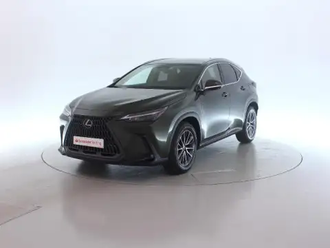 Lexus NX 2022