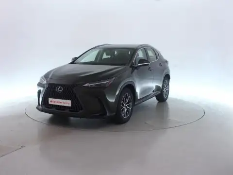 Lexus NX 2022
